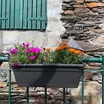Canastro Nature Spot * Viseu