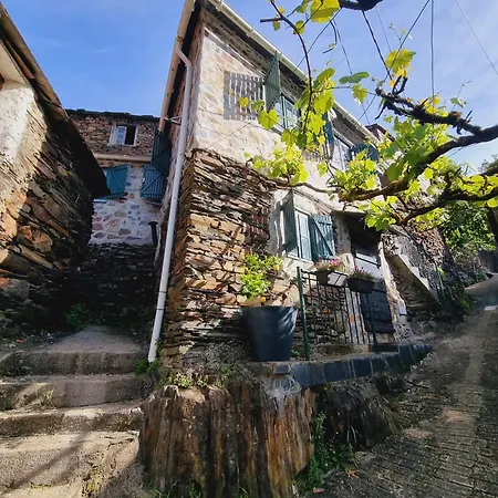 Canastro Nature Spot Villa Viseu