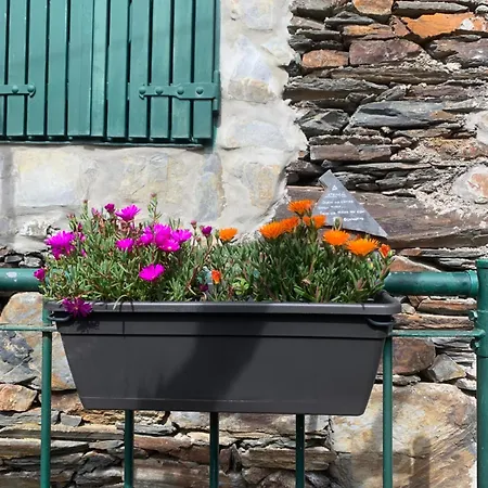 Canastro Nature Spot * Viseu