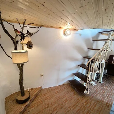 Canastro Nature Spot *