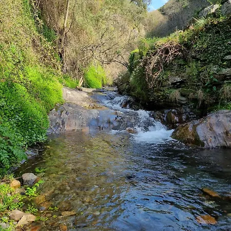 Canastro Nature Spot *