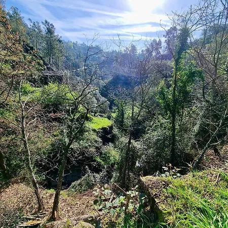 Canastro Nature Spot Villa *