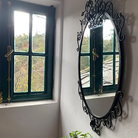 Canastro Nature Spot Viseu