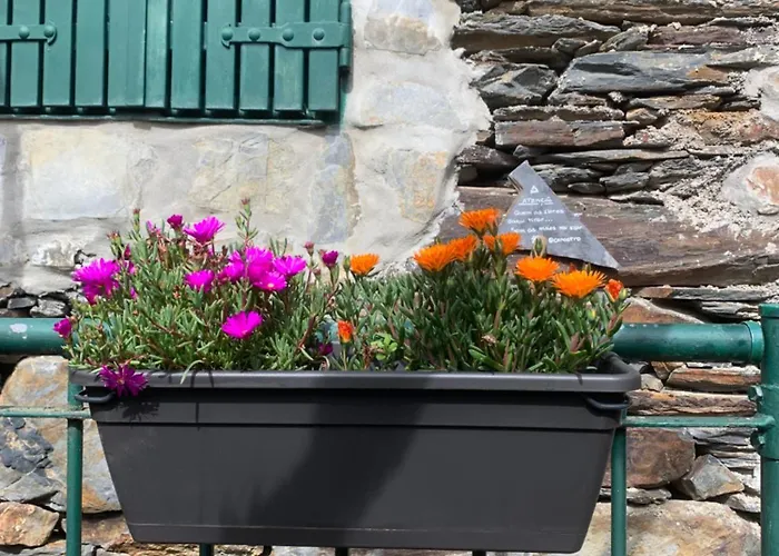 Canastro Nature Spot * Визеу