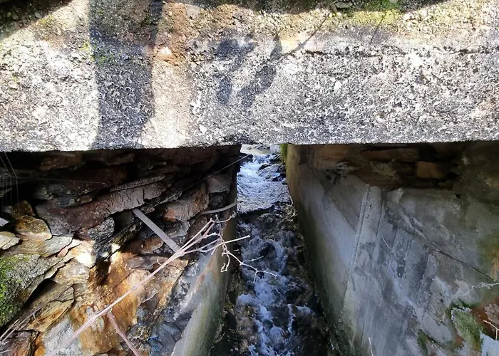 Canastro Nature Spot Визеу