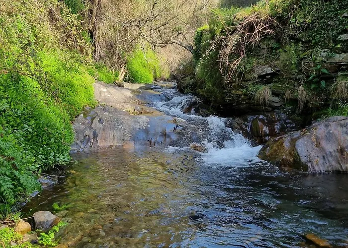 Canastro Nature Spot *